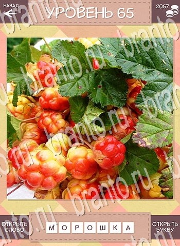 ответы на игру Дары природы для телефона уровень 65