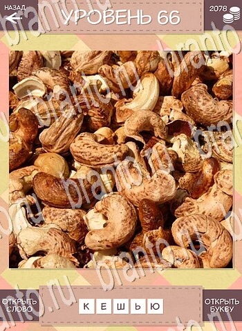 игра Дары природы ответы для телефона уровень 66