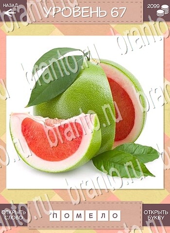 игра Дары природы подсказки планшет уровень 67