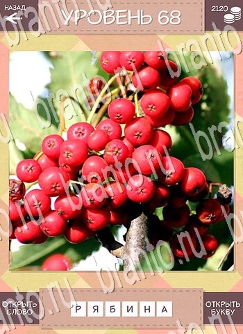 игра Дары природы помощь на все задания уровень 68