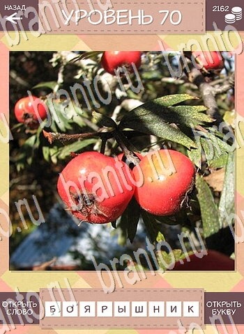 игра Дары природы відповіді для телефона уровень 70