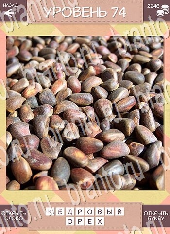 скриншоты с ответами Дары природы уровень 74