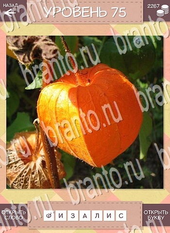 ответы на игру для android Дары природы уровень 75