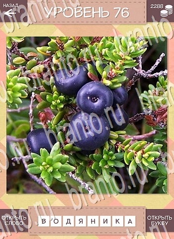 Дары природы Угадай фрукт игра андроид решения уровень 76