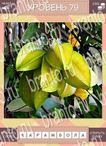 приложение Дары природы Угадай фрукт ответы на все задания уровень 79