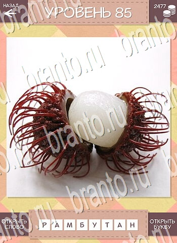 ответы на игру Дары природы Угадай фрукт уровень 85