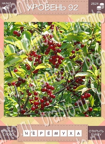 подсказки на игру Дары природы уровень 92