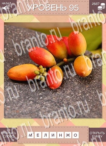 ответы на игру Дары природы для телефона уровень 95