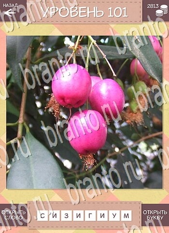 игра Дары природы Угадай фрукт відповіді планшет, для телефона уровень 101