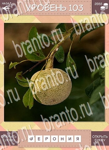 Дары природы игра ответы для android уровень 103