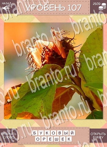 ответы на игру Дары природы для android уровень 107