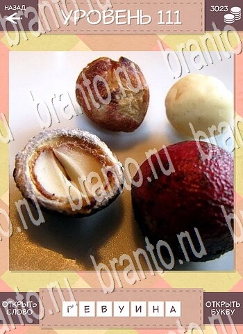 планшет Дары природы Угадай фрукт ответ на уровень 111