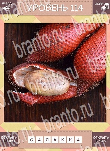 ответы на игру Дары природы Угадай фрукт на телефоне уровень 114