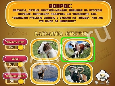 ответы на игру Эйнштейн уровень 1