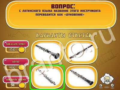 прохождение на игру Эйнштейн уровень 21