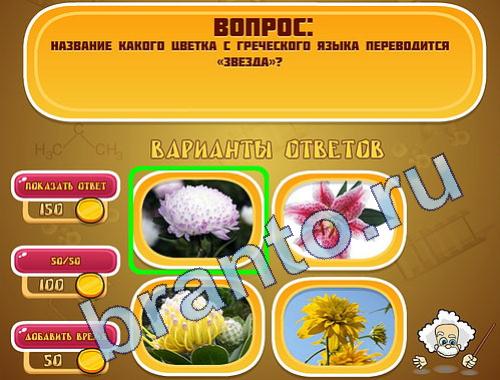 ответы на игру Эйнштейн уровень 155