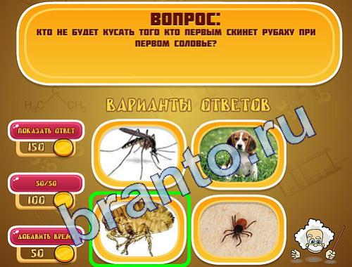 ответы на игру Эйнштейн уровень 235