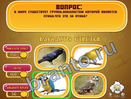 ответы на игру Эйнштейн в одноклассниках уровень 263