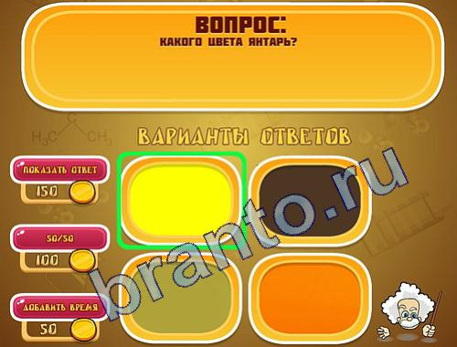 Игра Эйнштейн прохождение уровень 300