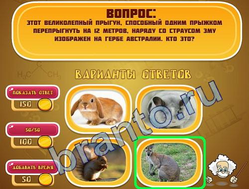 ответы на игру Эйнштейн в одноклассниках уровень 303