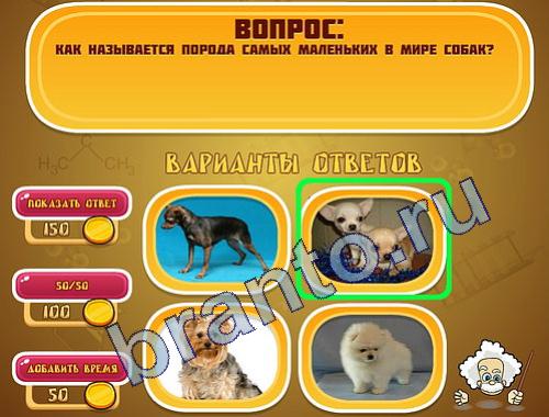 ответы Эйнштейн уровень 305