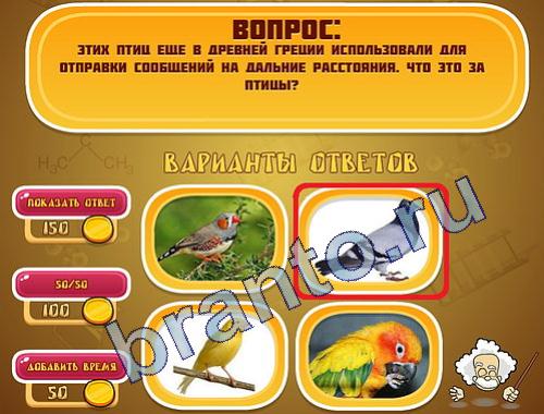 ответы на игру Эйнштейн в скриншотах уровень 312