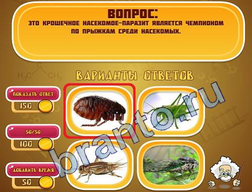 ответы для игры Эйнштейн уровень 313