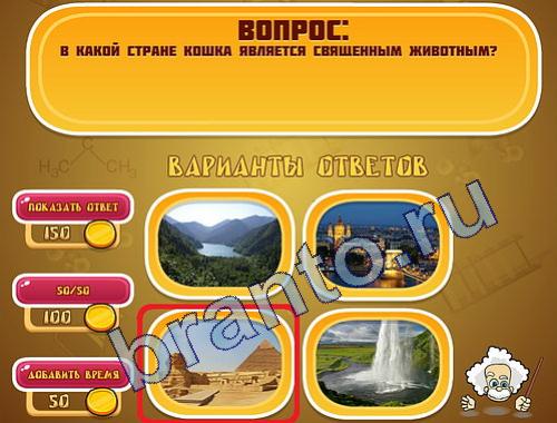 ответы на игру Эйнштейн уровень 314