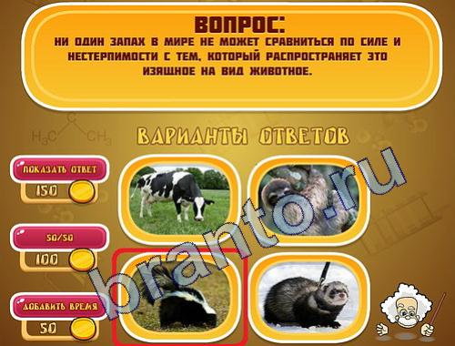 ответы на игру Эйнштейн уровень 316