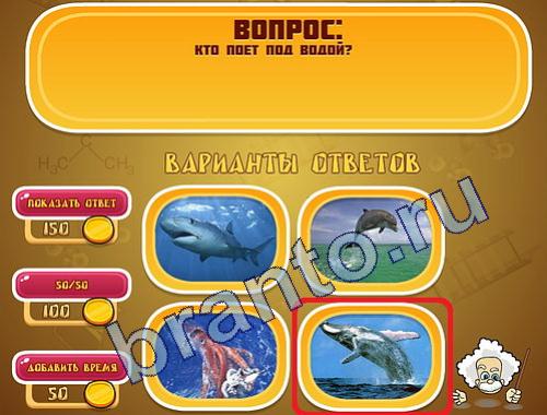 ответы на игру Эйнштейн уровень 317