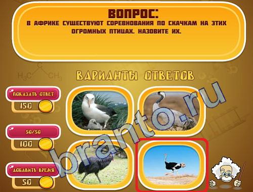 ответы на игру Эйнштейн уровень 318