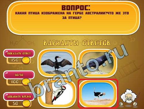прохождение на игру Эйнштейн уровень 381