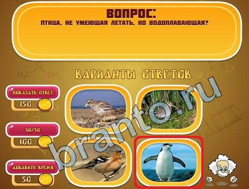 Эйнштейн прохождение игры уровень 382