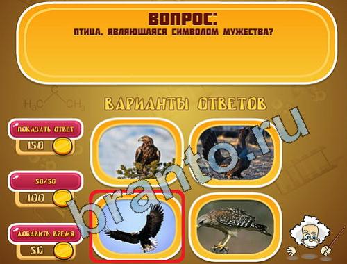 ответы на игру Эйнштейн в одноклассниках уровень 383