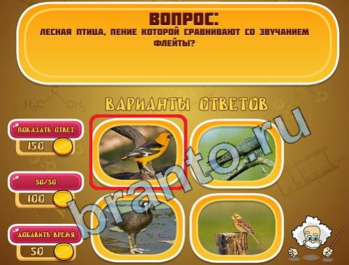 Прохождение игры Эйнштейн уровень 384