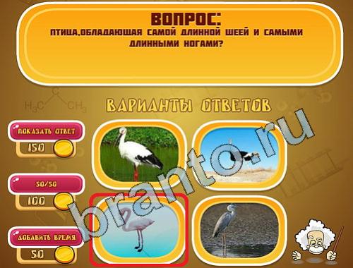 ответы Эйнштейн уровень 385