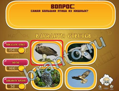 решения для игры Эйнштейн уровень 388