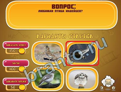 Эйнштейн игра ответы уровень 389