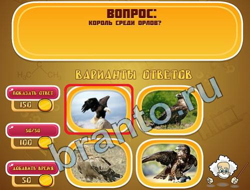 игра в одноклассниках Эйнштейн ответы уровень 390