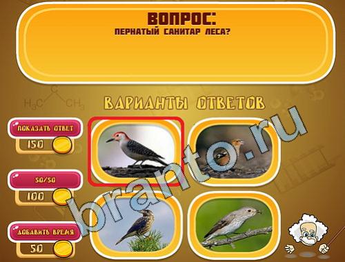 Эйнштейн помощь в картинках уровень 391