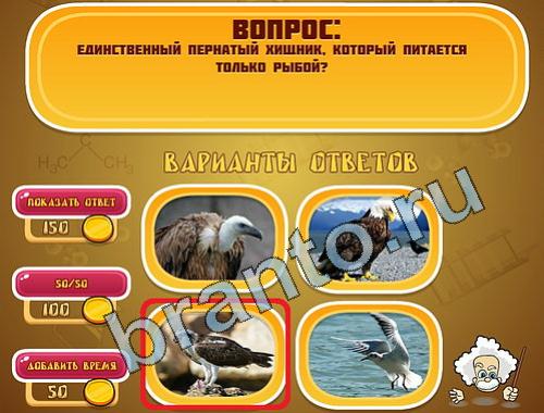 ответы на игру Эйнштейн в скриншотах уровень 392