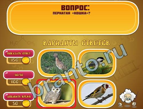 ответы для игры Эйнштейн уровень 393