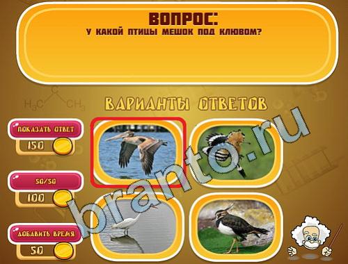 ответы на игру Эйнштейн уровень 394