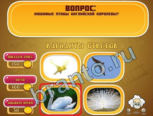 ответы на игру Эйнштейн уровень 395