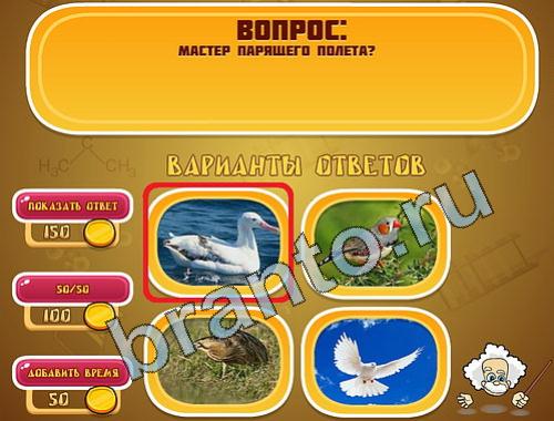 ответы на игру Эйнштейн уровень 396