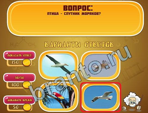 ответы на игру Эйнштейн уровень 397