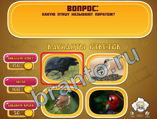ответы на игру Эйнштейн уровень 398