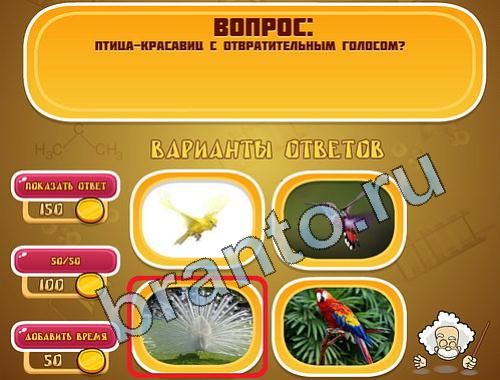 ответы на игру Эйнштейн уровень 399