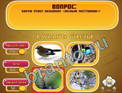 ответы на игру Эйнштейн уровень 400