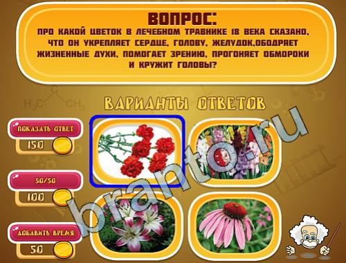 Эйнштейн помощь в картинках уровень 431